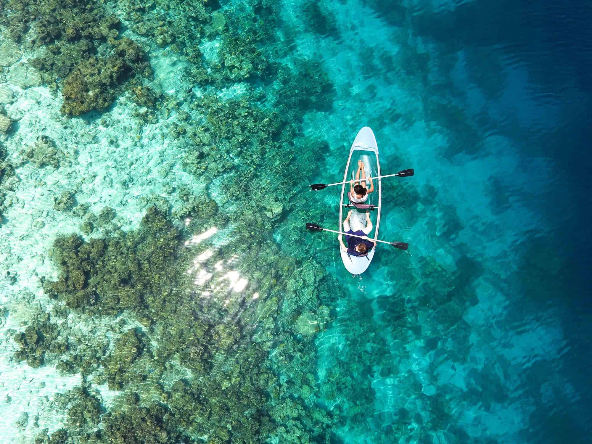 האיים המלדיביים- גן עדן | קרדיט pexels