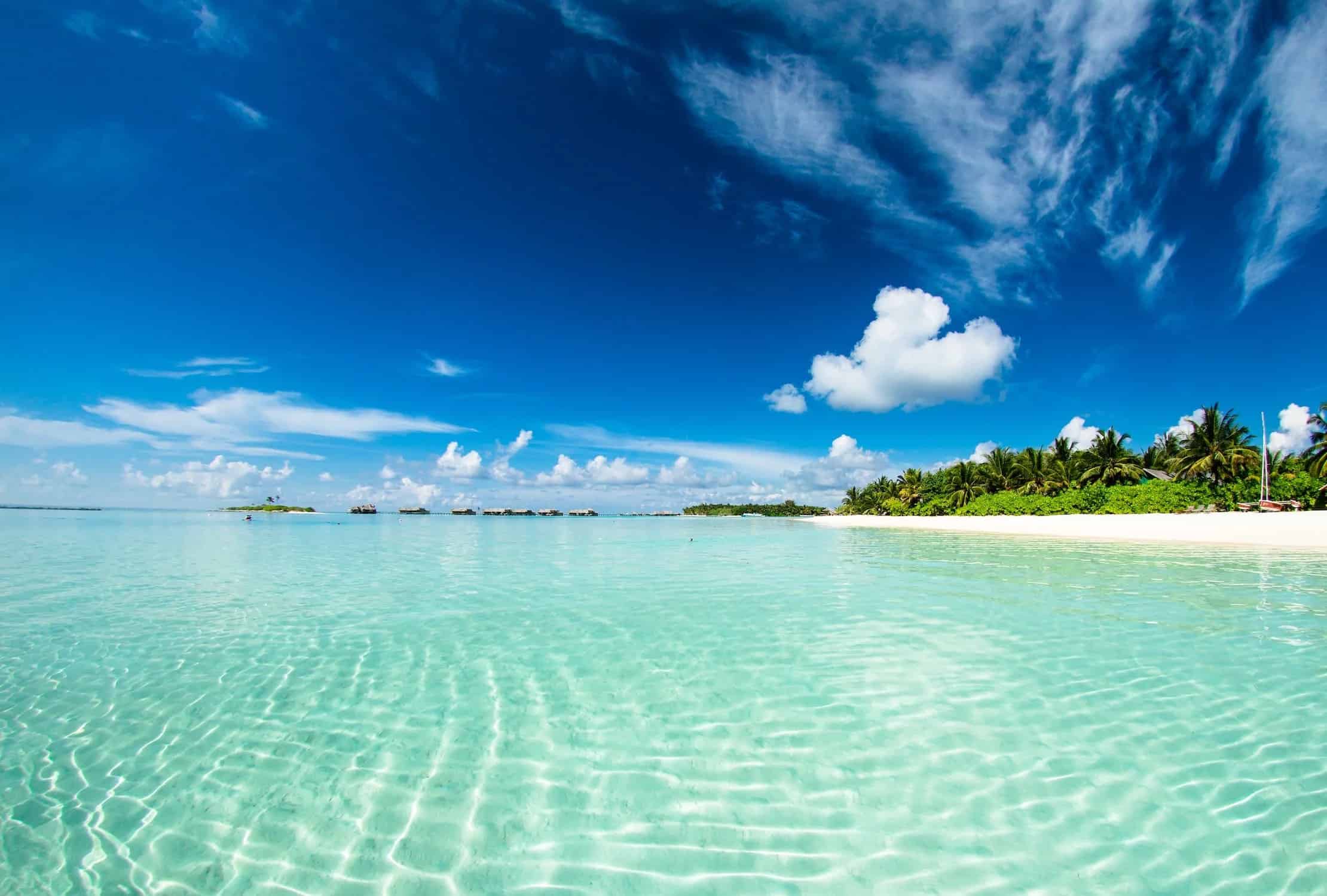 האיים המלדיביים- גן עדן | קרדיט pexels